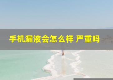 手机漏液会怎么样 严重吗